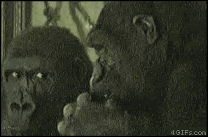 Name:  g5f69.gif
Views: 55
Size:  1.72 MB