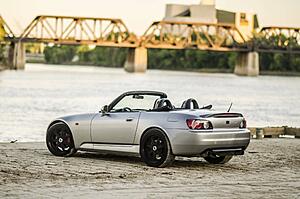 Pulled the Trigger-owx8m6b.jpg