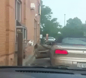 You just can&#39;t make this stuff up&#33;-jn9emvg.gif