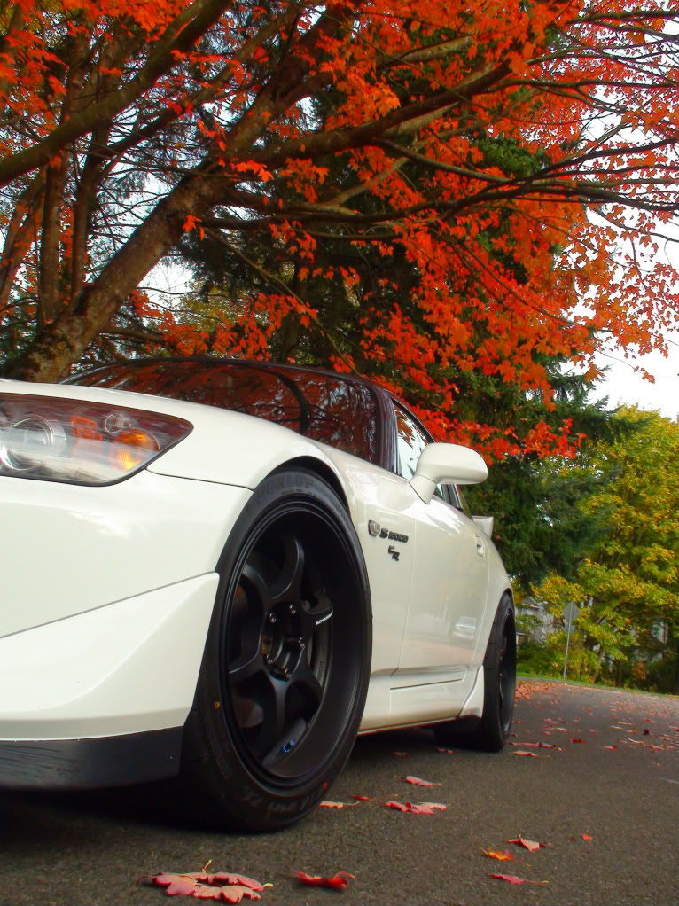 Name:  146.jpg
Views: 710
Size:  228.8 KB