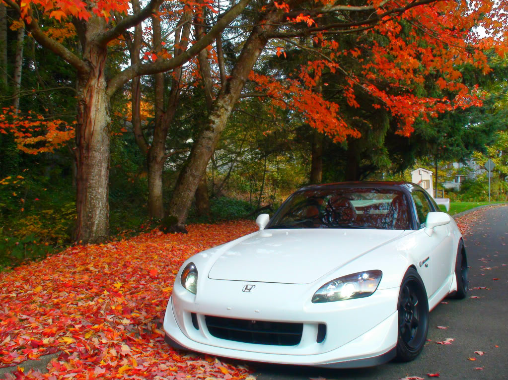 Name:  140.jpg
Views: 721
Size:  263.2 KB