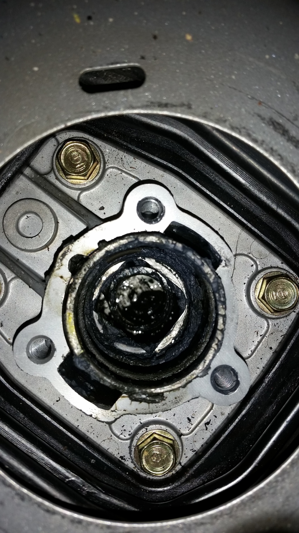 Name:  20160410_104432_zpsmajlzpop.jpg
Views: 646
Size:  807.5 KB