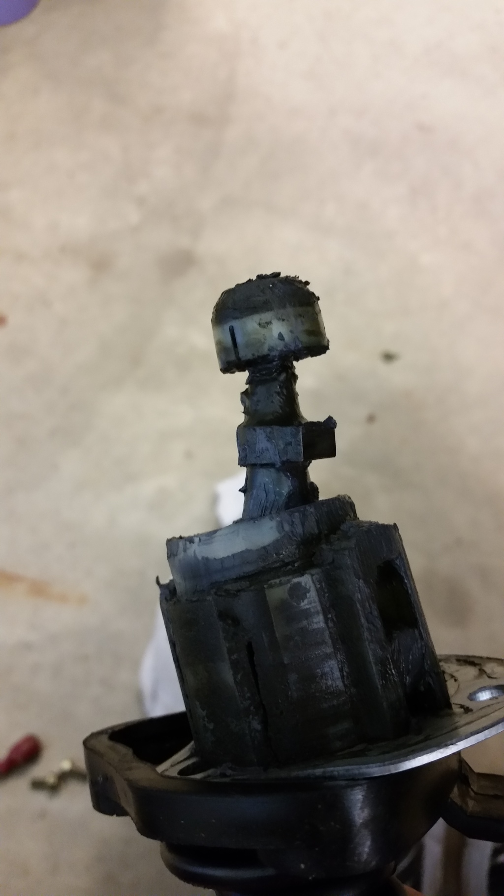 Name:  20160410_104523_zps51krntys.jpg
Views: 651
Size:  325.0 KB