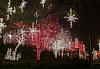 Dallas Christmas Lights Drive &#38; Dinner (Sun., Dec. 9th)-photo3.jpg
