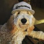 choppstixxx's Avatar