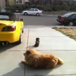 MasterChiefSensei's Avatar