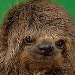 KeithLoveday's Avatar