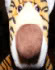 bazza.'s Avatar