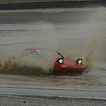 monkey.magicx's Avatar