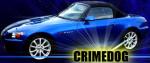 Crimedog's Avatar