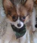 spunkysandoval's Avatar