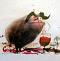 wineboar's Avatar